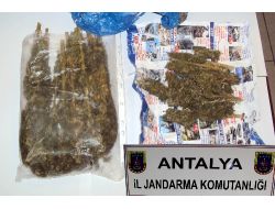 Side'de 558 Gram Kubar Esrar