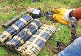 Cephanelikte Karar Tarihi