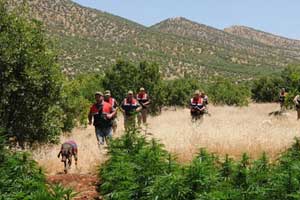 Diyarbakır'da uyuşturucu operasyonu