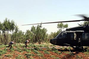 HABUR'DA 5 PKK'LI TESLİM OLDU
