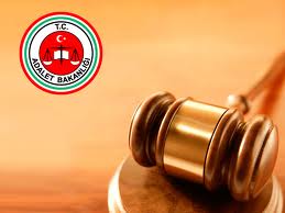 Yargıda ‘Gezi’ Anayasası