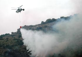 BODRUM'DA ORMAN YANGINI