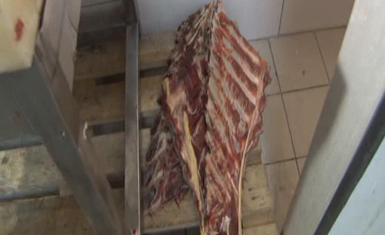 İSTANBUL'DA ŞOK BASKINLAR