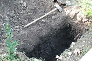 Yolsuzluk kayıtları mezarlıktan çıkarıldı