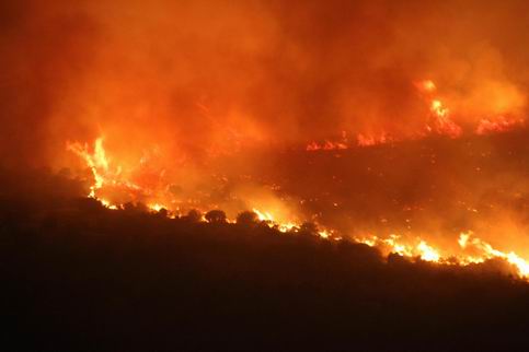 Balıkesir'de Orman Yangını