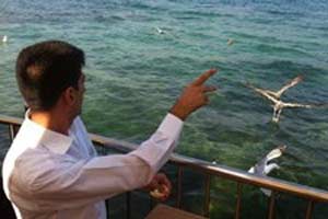 Teğmen Çelebi de teslim oldu!