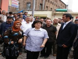 "Demokratik Barış Çalışmalarının İçinde Olacağız!"