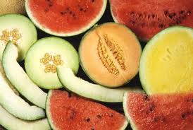 KAVUN KARPUZ ÇİFTÇİNİN YÜZÜNÜ GÜLDÜRDÜ