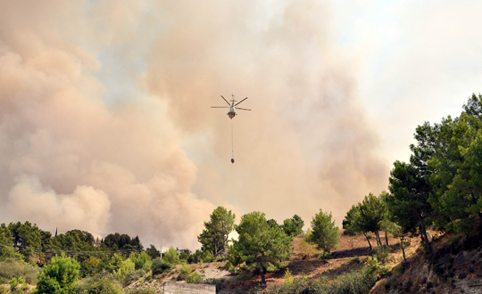 Manavgat'ta orman yangını