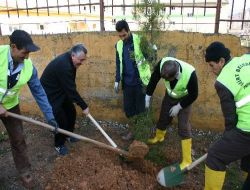Siirt'te Ağaç Dikme Seferberliği Başlatıldı