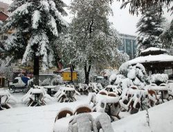 Rize'de Kar Yağışı Hayatı Olumsuz Etkiliyor