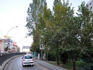 'Çetin Engel Bulvarı'