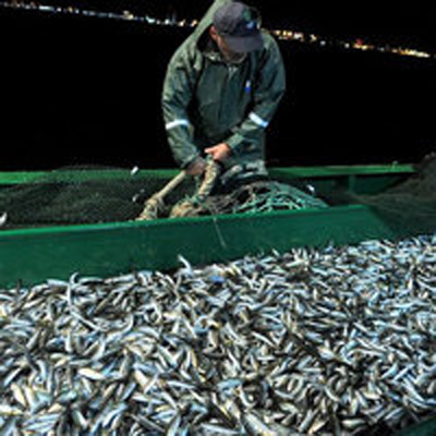 Balıkçılar 'Vira Bismillah' dedi