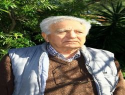 Eski İçişleri Müsteşarı Ünüsan: Asker Tek Başına Plan Yapamaz