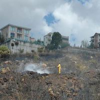 TÜBİTAK'ta faciadan dönüldü