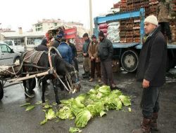 Halde Dükkan Kiralayan Esnaf Ortada Kaldı