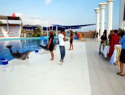 Yunus Balıkları Nikah Şahitliği Yaptı!