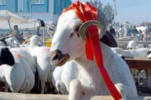 Yollarda bayram yoğunluğu