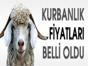 Kurban fiyatları ne kadar?