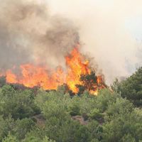 Konya'da orman yangını