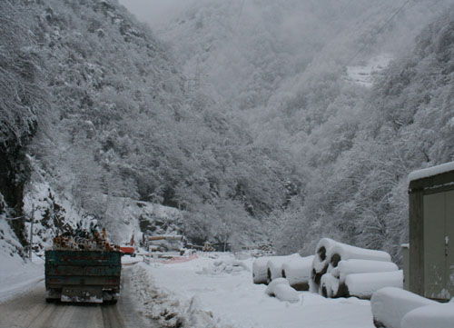 Rize'ye kar yağdı!