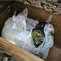 Çeyiz sandığında esrar sevkiyatı