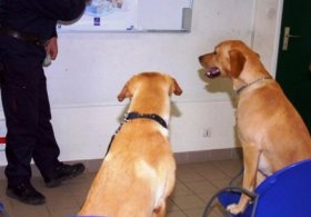 MECLİS ARTIK ONLARA EMANET