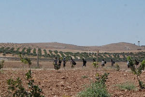 Sınırda kaçakçılara müdahale