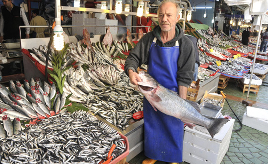 Karadeniz'de hamsi bolluğu