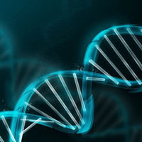 TÜRKİYE'DE BİR İLK