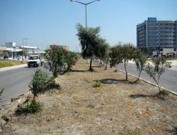 Vali Lekesiz, Refüj Taşlarının Değiştirilmesine Yönelik Eleştirilere Açıklık Getirdi