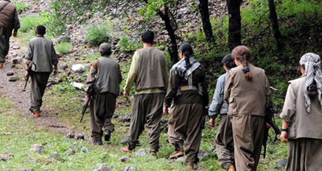 Şırnak'ta 11 PKK'lı teslim oldu!