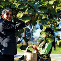"Hayırlısı Olsun"
