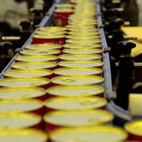 DEV ŞİRKET SATILIYOR