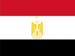 Mısır'da şiddet sürüyor....