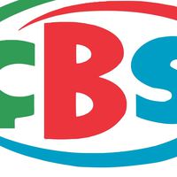 ÇBS'de CEO skandalı