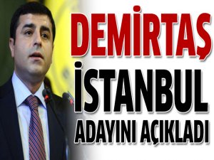 Demirtaş'tan önemli açıklamalar
