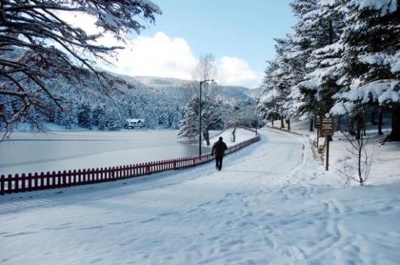 GÖLCÜK'TE GÖL DONDU