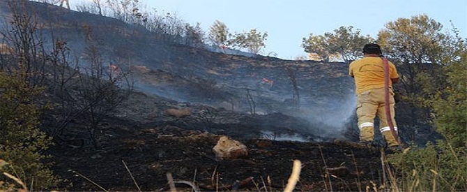Mersin'de ciğerlerimiz yandı!
