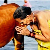 Et ihracatı rekoru Hindistan'ı karıştırdı