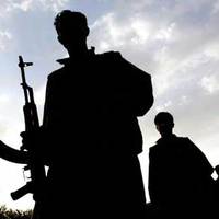 2 PKK'lı teslim oldu!!