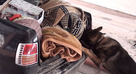 Öncüpınar silah ve el bombası yakalaması