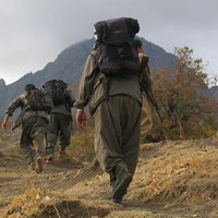 Bir PKK'lı yakalandı!