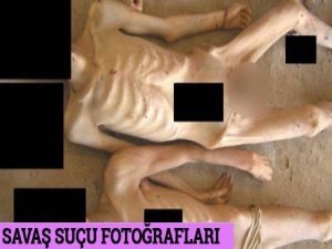 "Fotoğraflar insani müdahale için delildir"