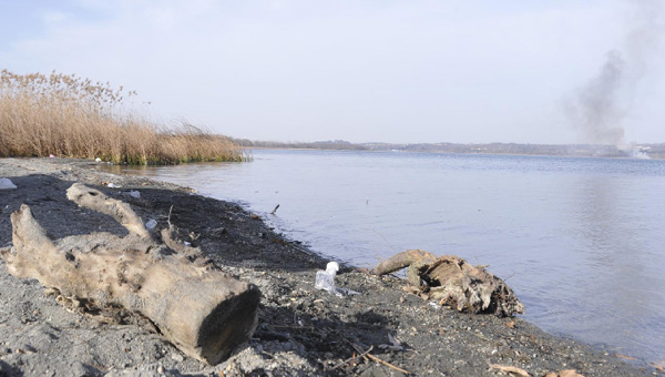 Sapanca Gölü'nde alarm