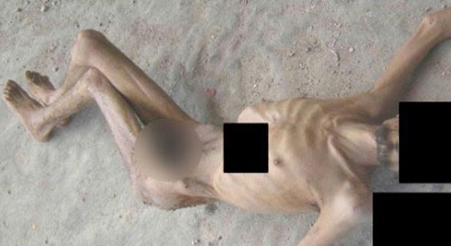 Dünya, TRT'den öğrendi!