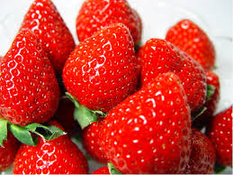 Konya'nın çileği ABD ve Rusya pazarında