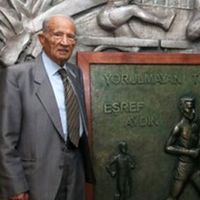 Fenerbahçe'nin Acı Kaybı