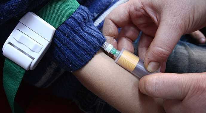 Mısır'da Domuz Gribi Salgını