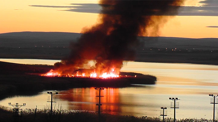 Mogan Gölü'nde kamışlık alanda yangın